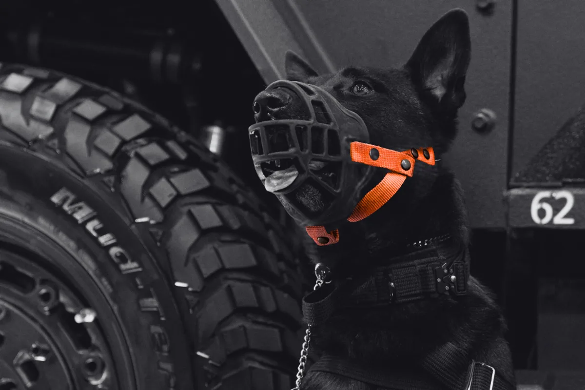 Binomio canino KG-9 de KG-Guardian